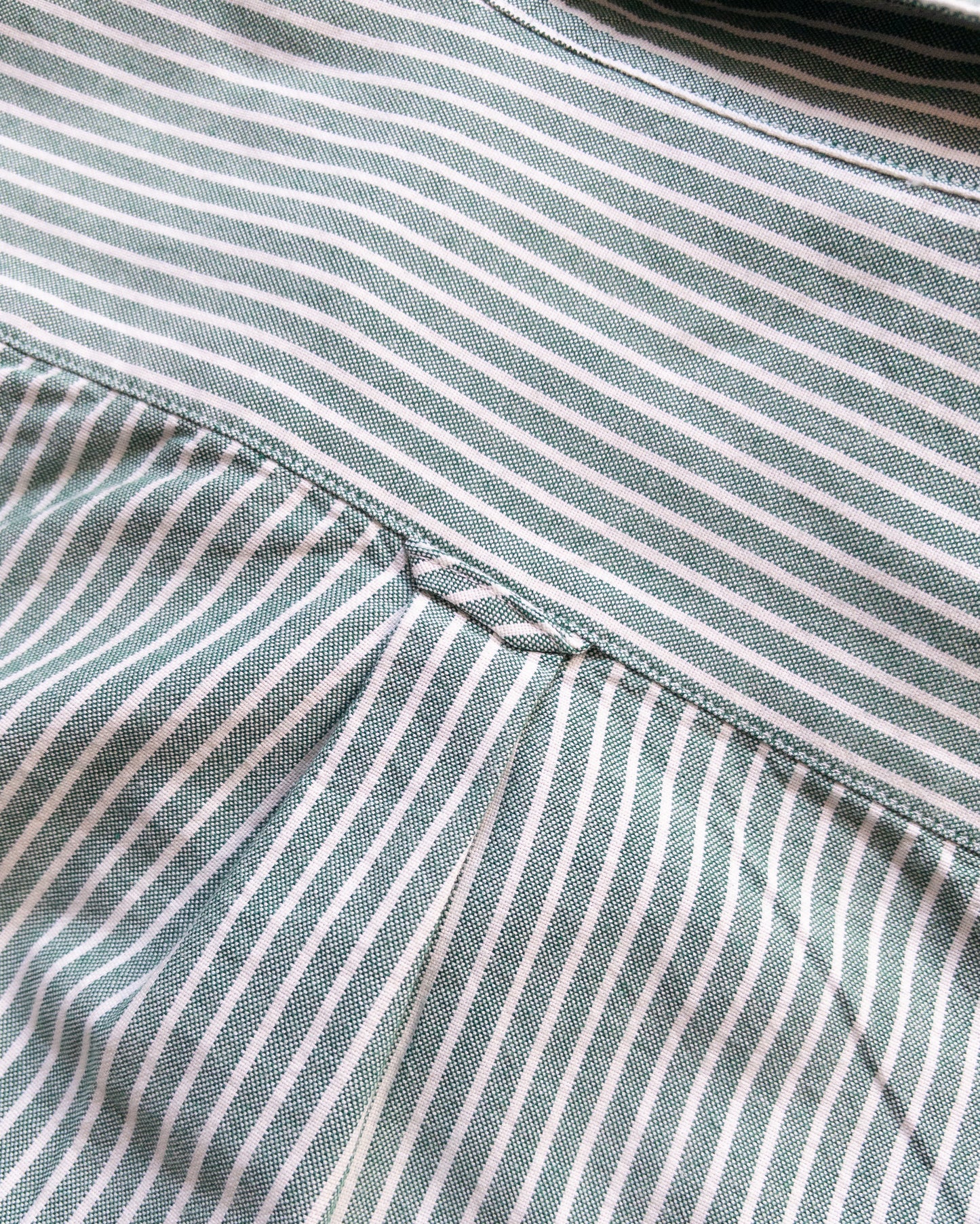 Oxford Cloth Button Down Popover - Evergreen Stripe